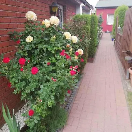 Holiday Sassnitz/insel Rugen 2990 Dwasieden